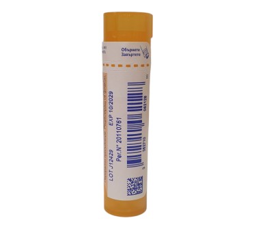 APIS MELLIFICA 15 CH